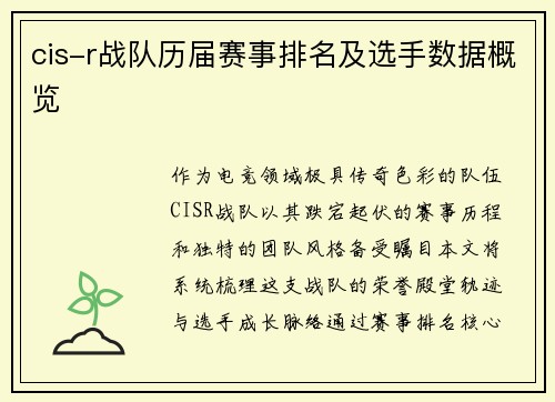 cis-r战队历届赛事排名及选手数据概览